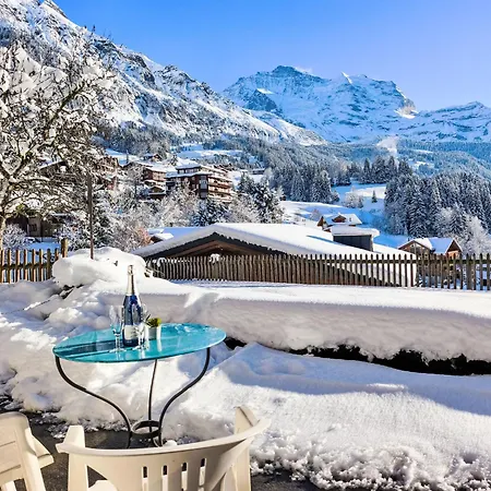 Apartment Graf 1 By Interhome Wengen