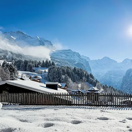 Graf 1 By Interhome Apartment Wengen