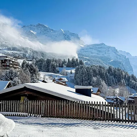 Apartment Graf 1 By Interhome Wengen