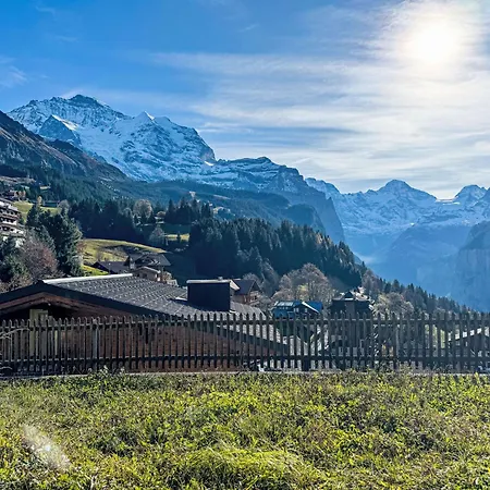 Apartment Graf 1 By Interhome Wengen