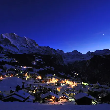 Graf 1 By Interhome Apartment Wengen