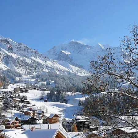 Graf 1 By Interhome Wengen