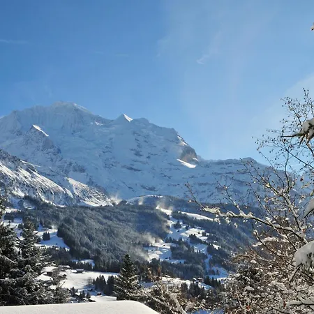 Graf 1 By Interhome Apartment *